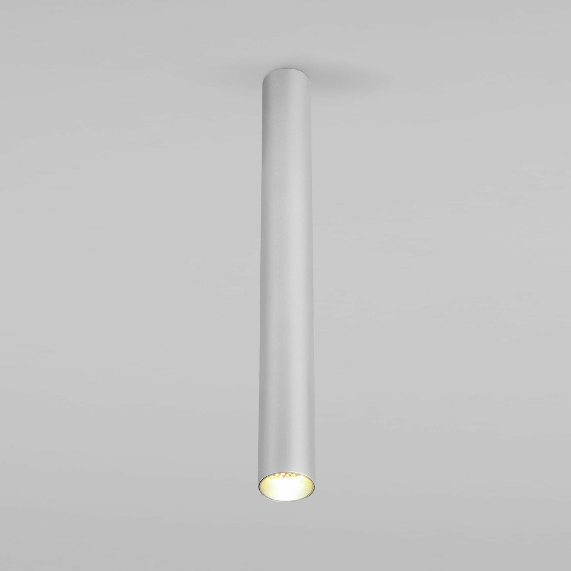 Изображение товара Накладной светодиодный светильник Pika 25030/LED 6W 4200K серебро Elektrostandard