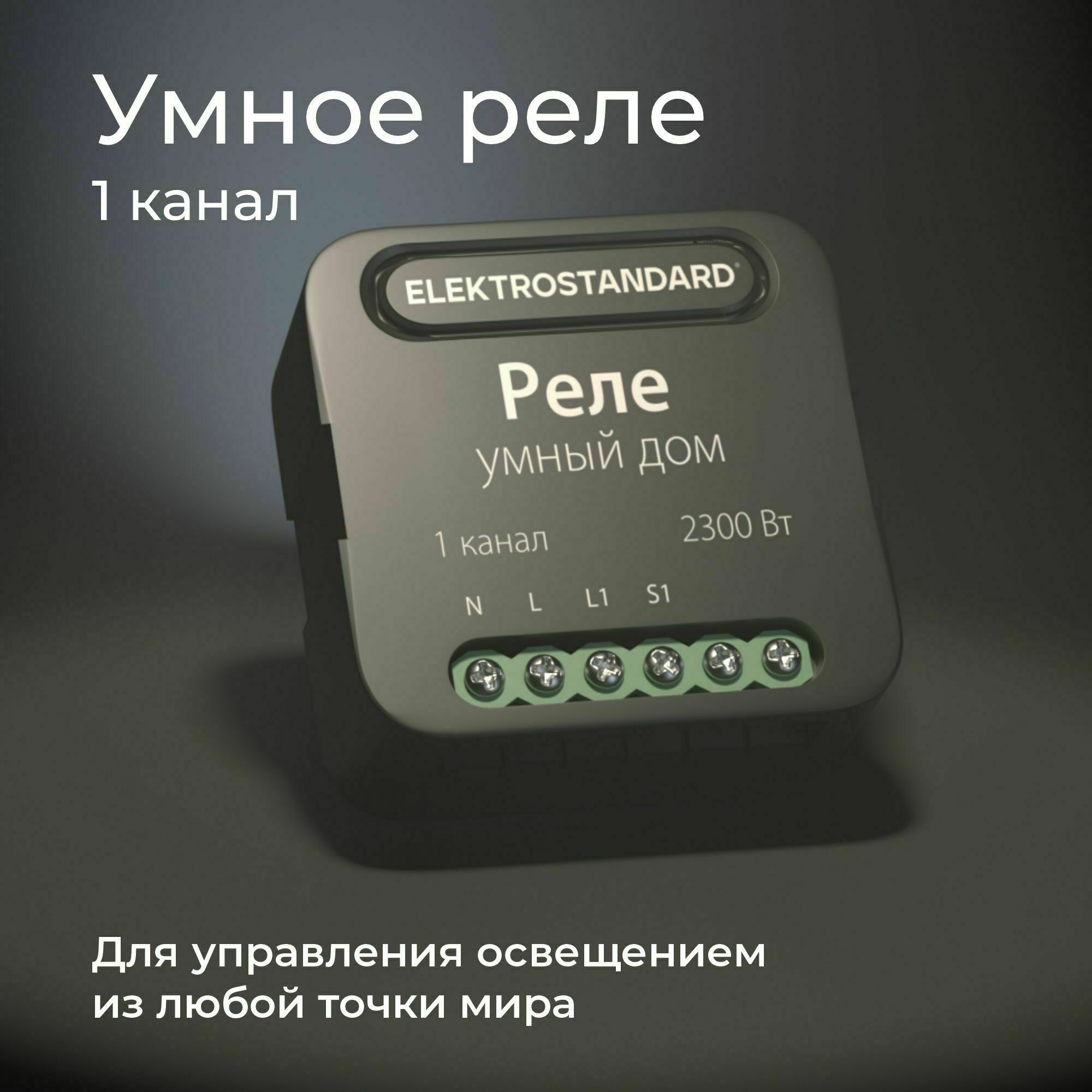 Изображение товара Умное одноканальное реле 76006/00 Werkel