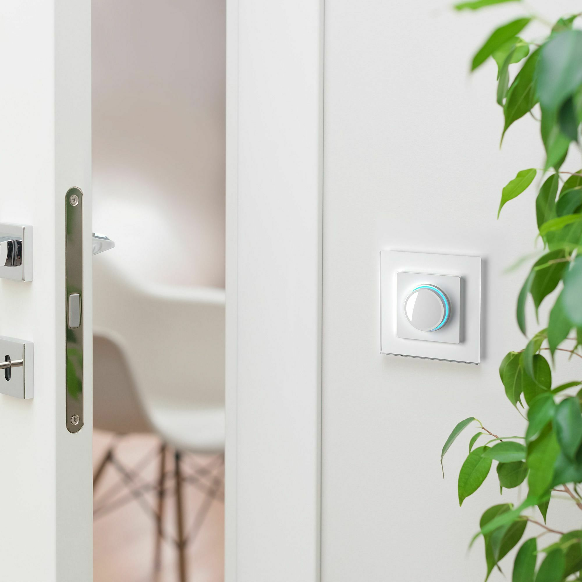 Изображение товара Рамка на 1 пост Favorit (белый,стекло) W0011101 Werkel