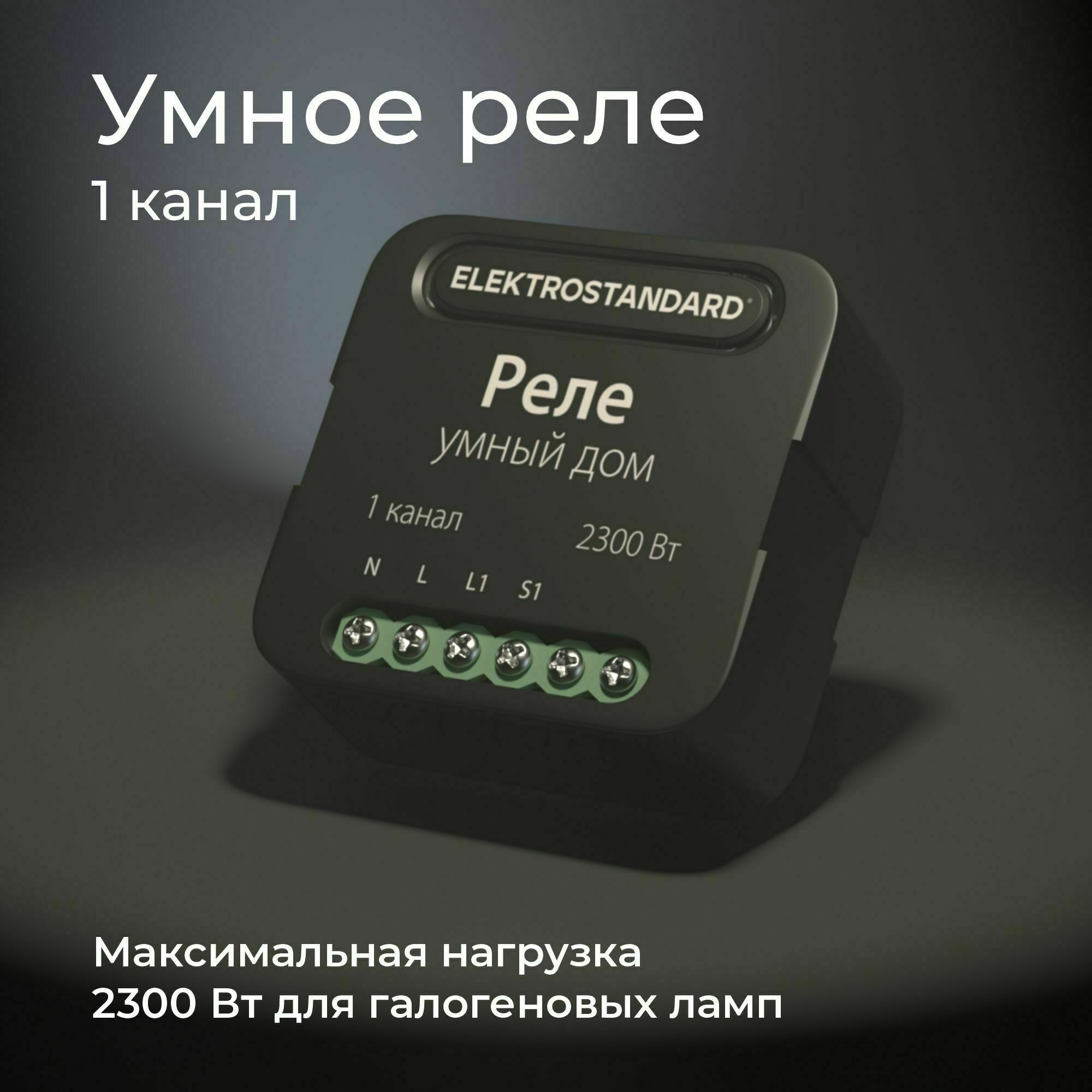 Изображение товара Умное одноканальное реле 76006/00 Werkel