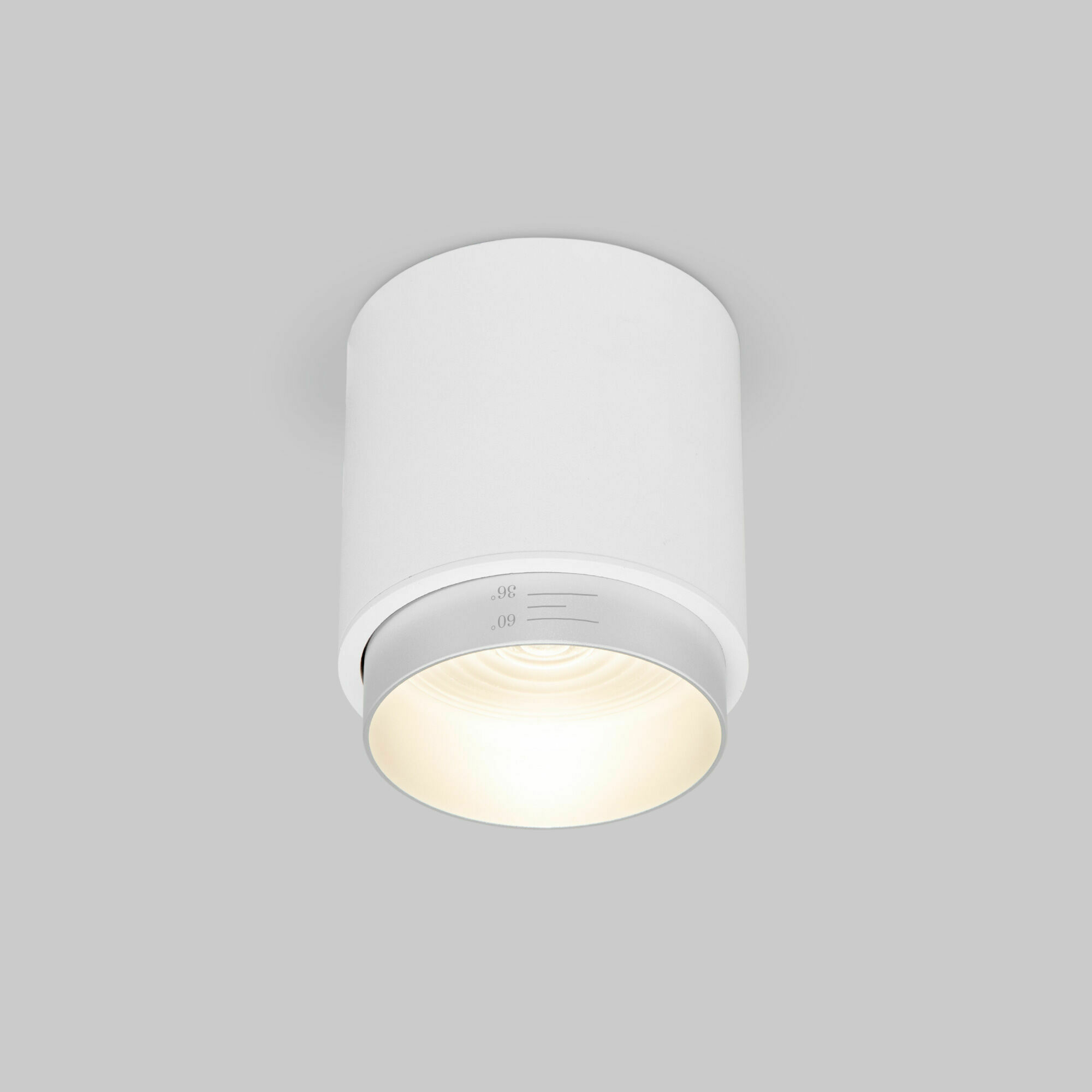 Изображение товара Накладной светодиодный светильник Cors 25032/LED 10W 4200K белый/серебро Elektrostandard