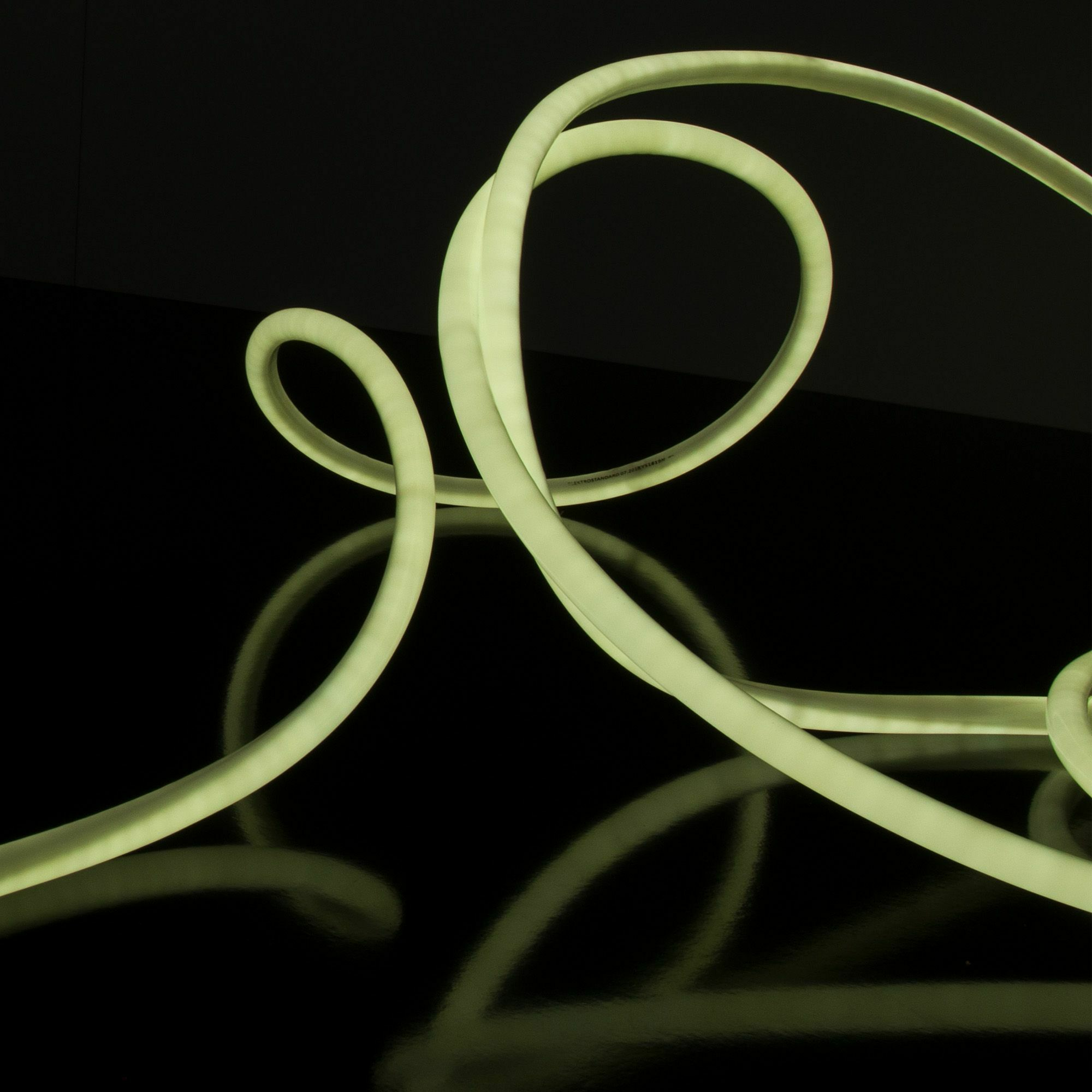 Изображение товара Светодиодный гибкий неон 220V 9,6W 144Led 2835 IP67 круглый холодный белый, 50 м Elektrostandard