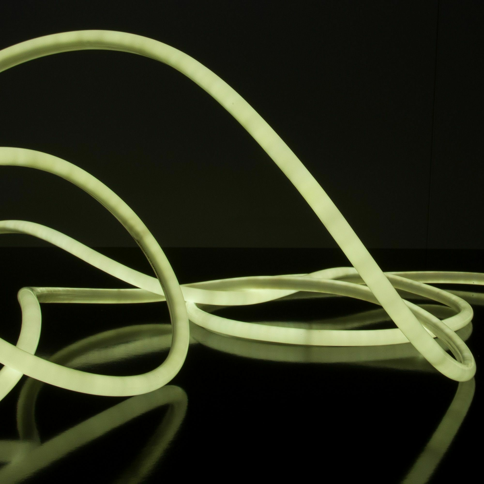 Изображение товара Светодиодный гибкий неон 220V 9,6W 144Led 2835 IP67 круглый холодный белый, 50 м Elektrostandard