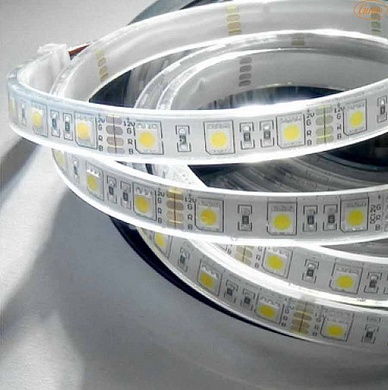 Изображение товара Светодиодная лента 5050, 60 LED/м, 14,4 Вт/м, 24В , IP68, Цвет: Теплый белый, SWG560-24-14.4-WW-68-M