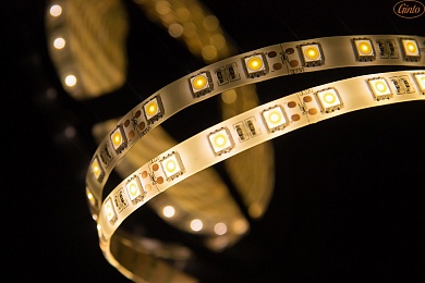 Изображение товара Светодиодная лента 5050, 60 LED/м, 14,4 Вт/м, 12В , IP66, Цвет: Теплый белый, SWG560-12-14.4-WW-66-M