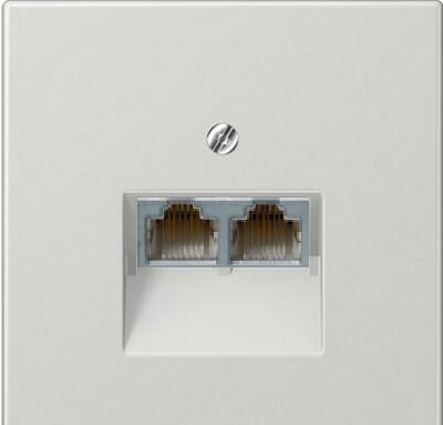 Изображение товара Розетка компьютерная RJ-45, двойная светло-серый Jung LS990 EPUAE8-8UPOK6+LS969-2UALG