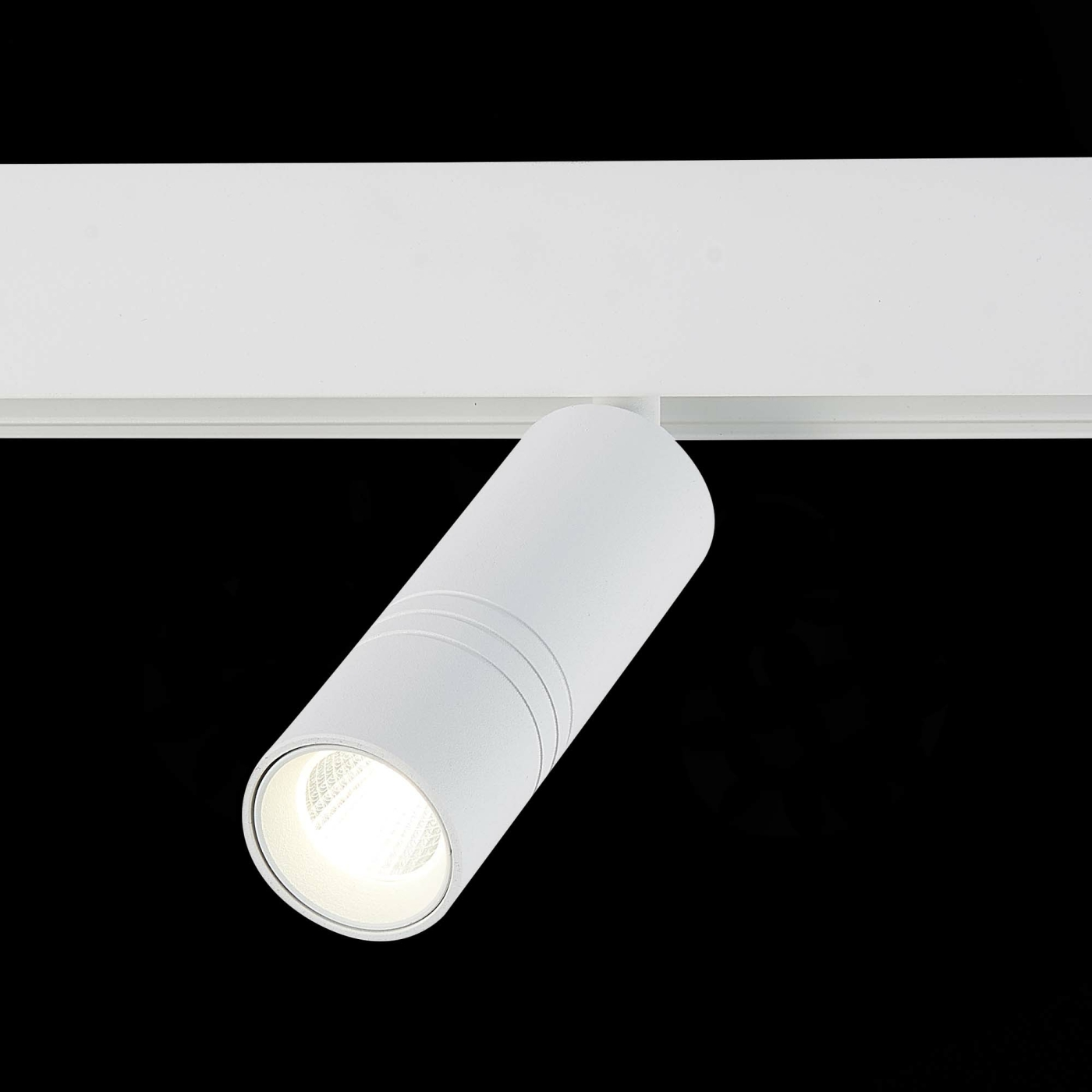 Изображение товара Магнитный трековый светильник белый LED 1*12W 4000K, ST365.546.12 SKYLINE 48 ST LUCE
