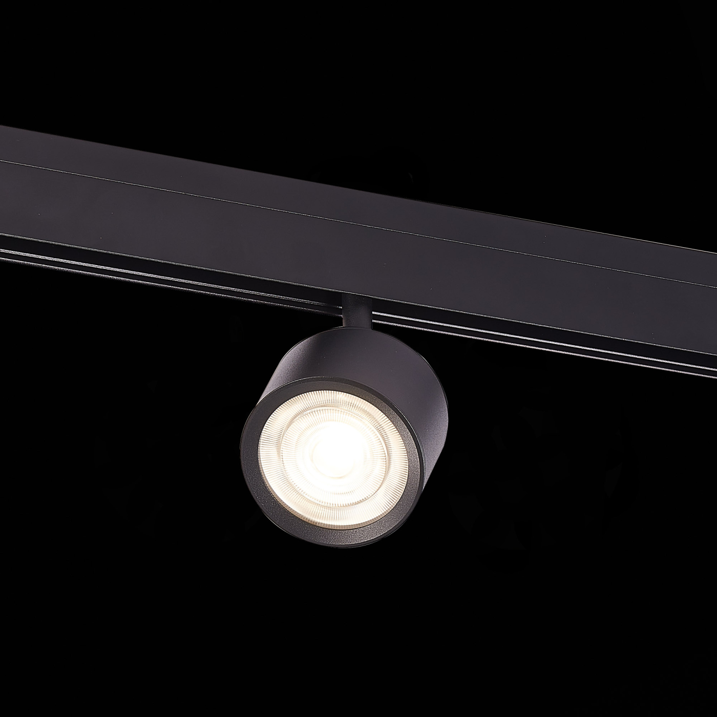 Изображение товара Магнитный трековый светильник Черный LED 1*6W 4000K ST353.446.06 SKYLINE 48 ST LUCE