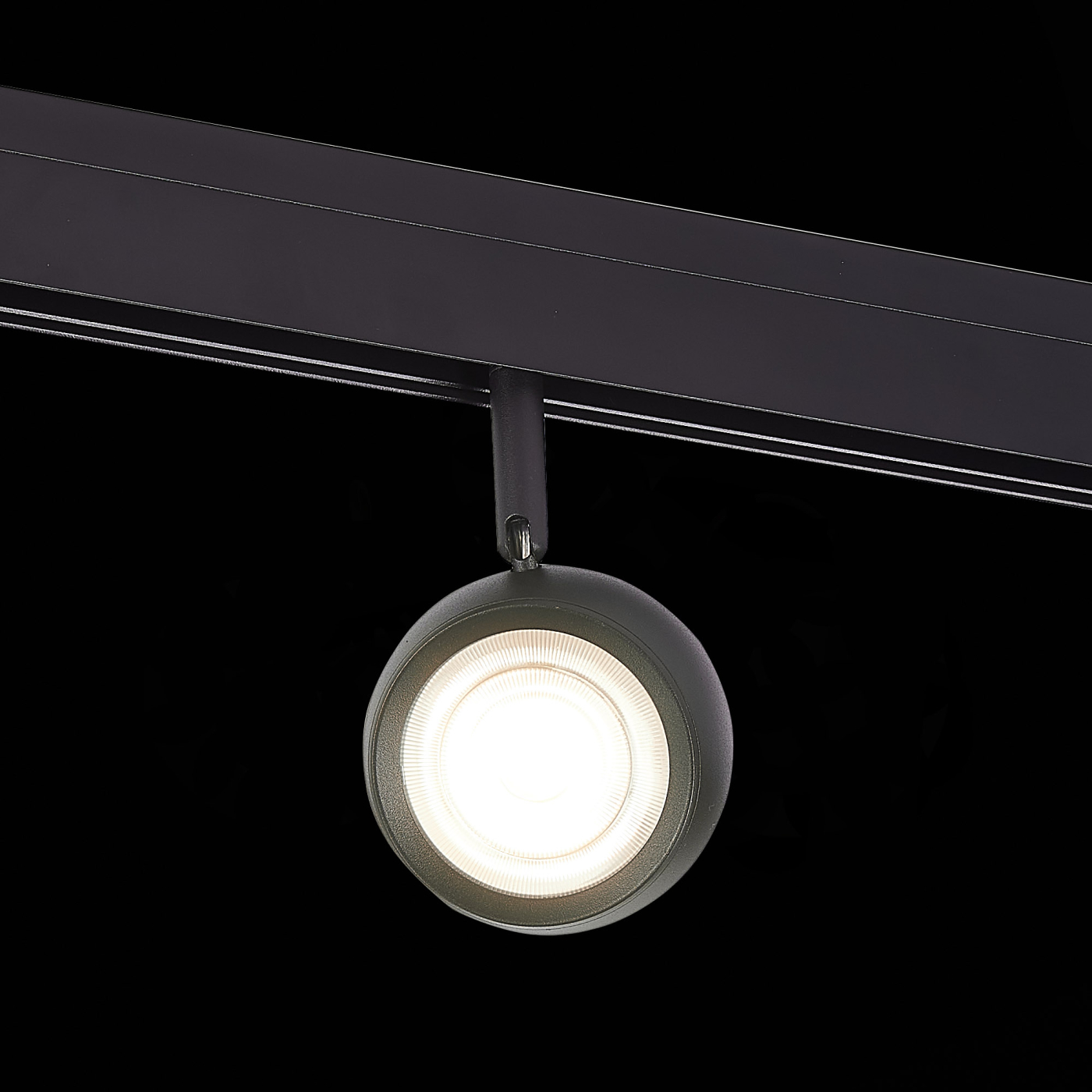 Изображение товара Магнитный трековый светильник Черный LED 1*10W 3000K ST355.436.10 SKYLINE 48 ST LUCE