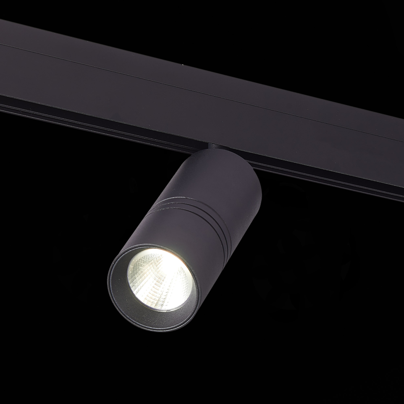 Изображение товара Магнитный трековый светильник Черный LED 1*18W, 3000K, ST365.436.18 SKYLINE 48 ST LUCE