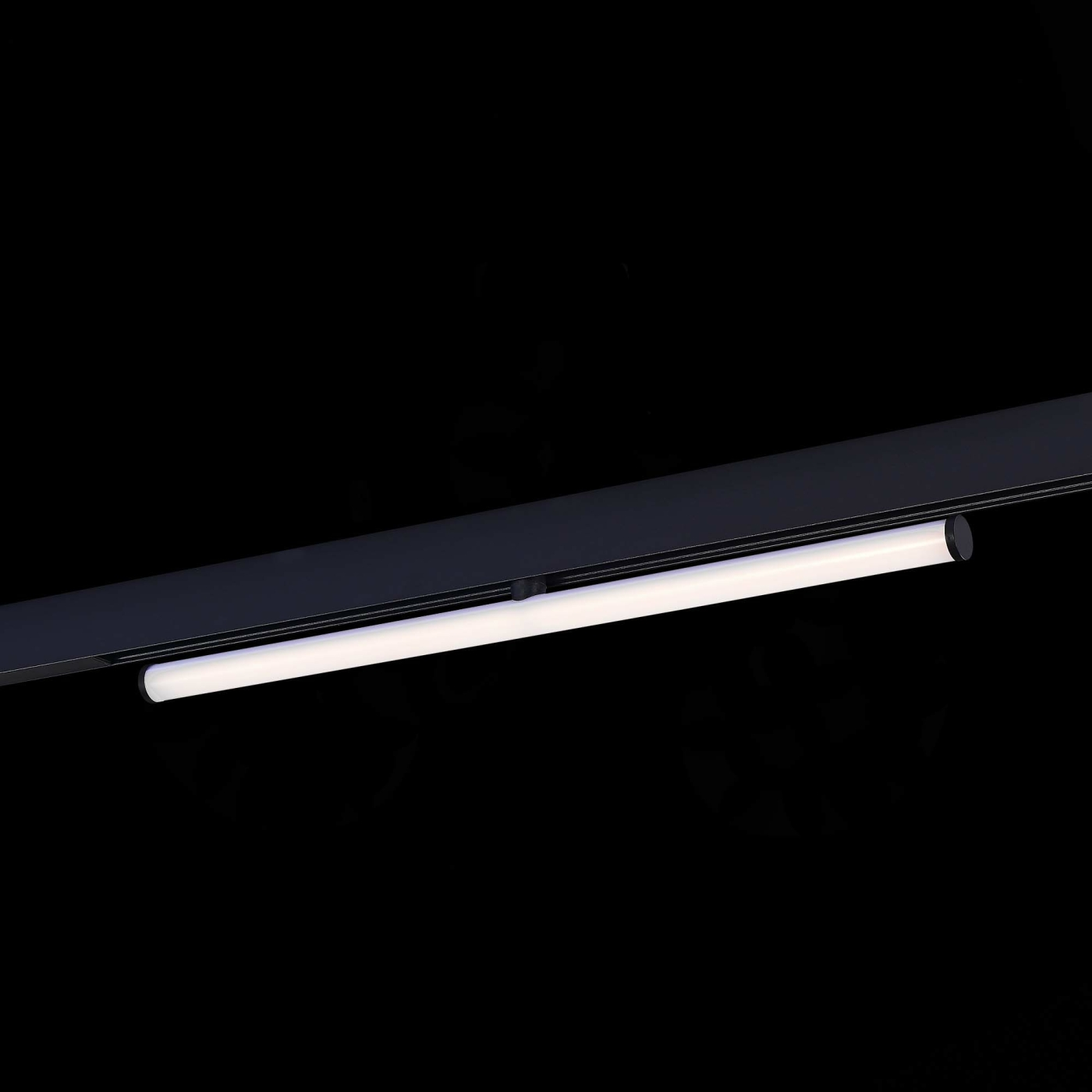 Изображение товара Магнитный трековый светильник чёрный LED 1*10W 4000K ST803.446.10 SKYLINE 48 ST LUCE