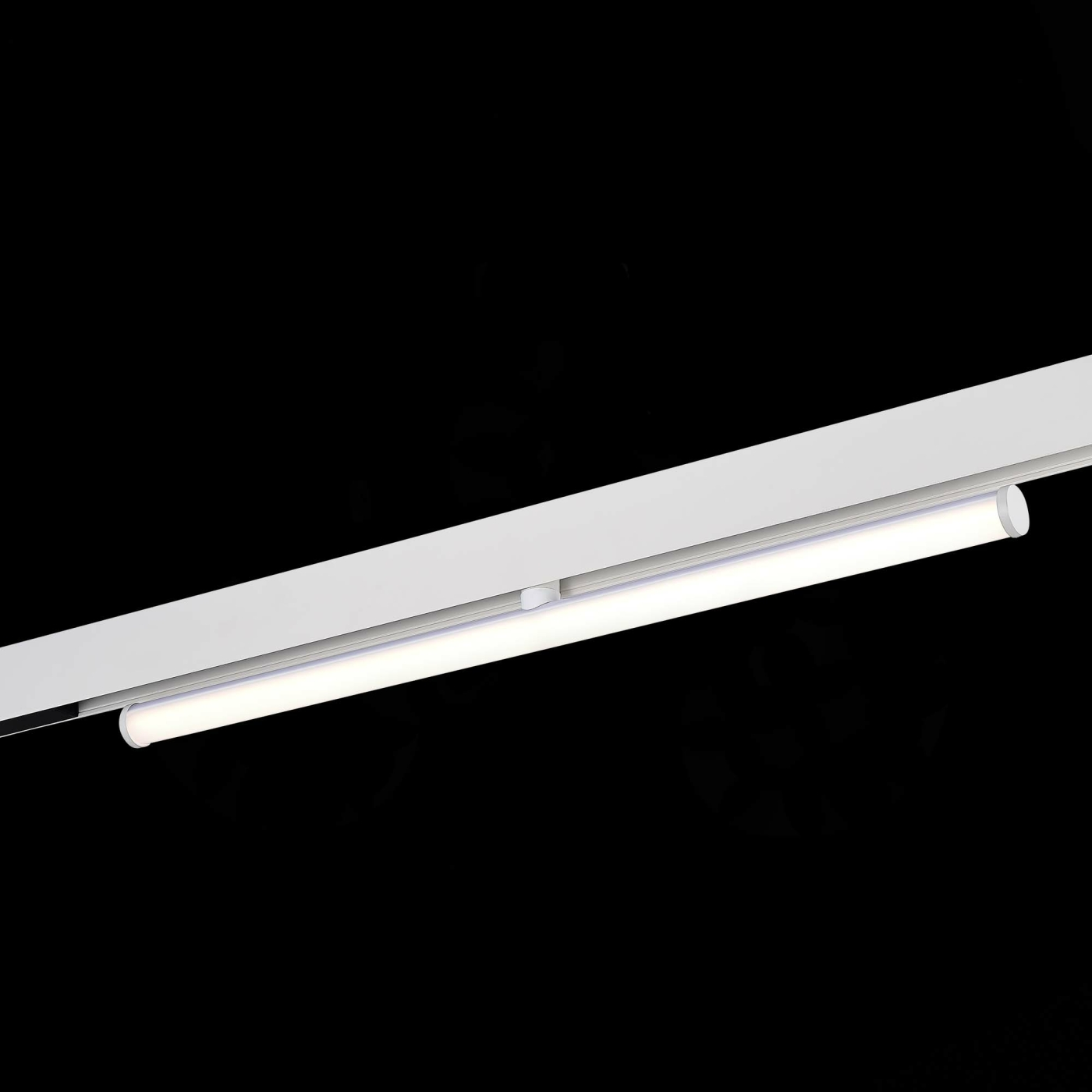 Изображение товара Магнитный трековый светильник Белый LED 1*10W 4000K ST803.546.10 SKYLINE 48 ST LUCE