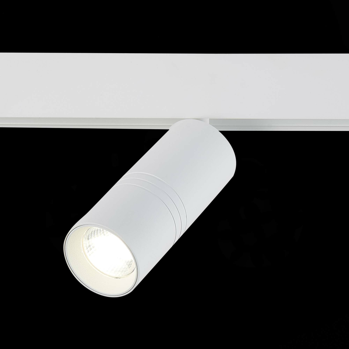 Изображение товара Магнитный трековый светильник белый LED 1*18W 4000K, ST365.546.18 SKYLINE 48 ST LUCE
