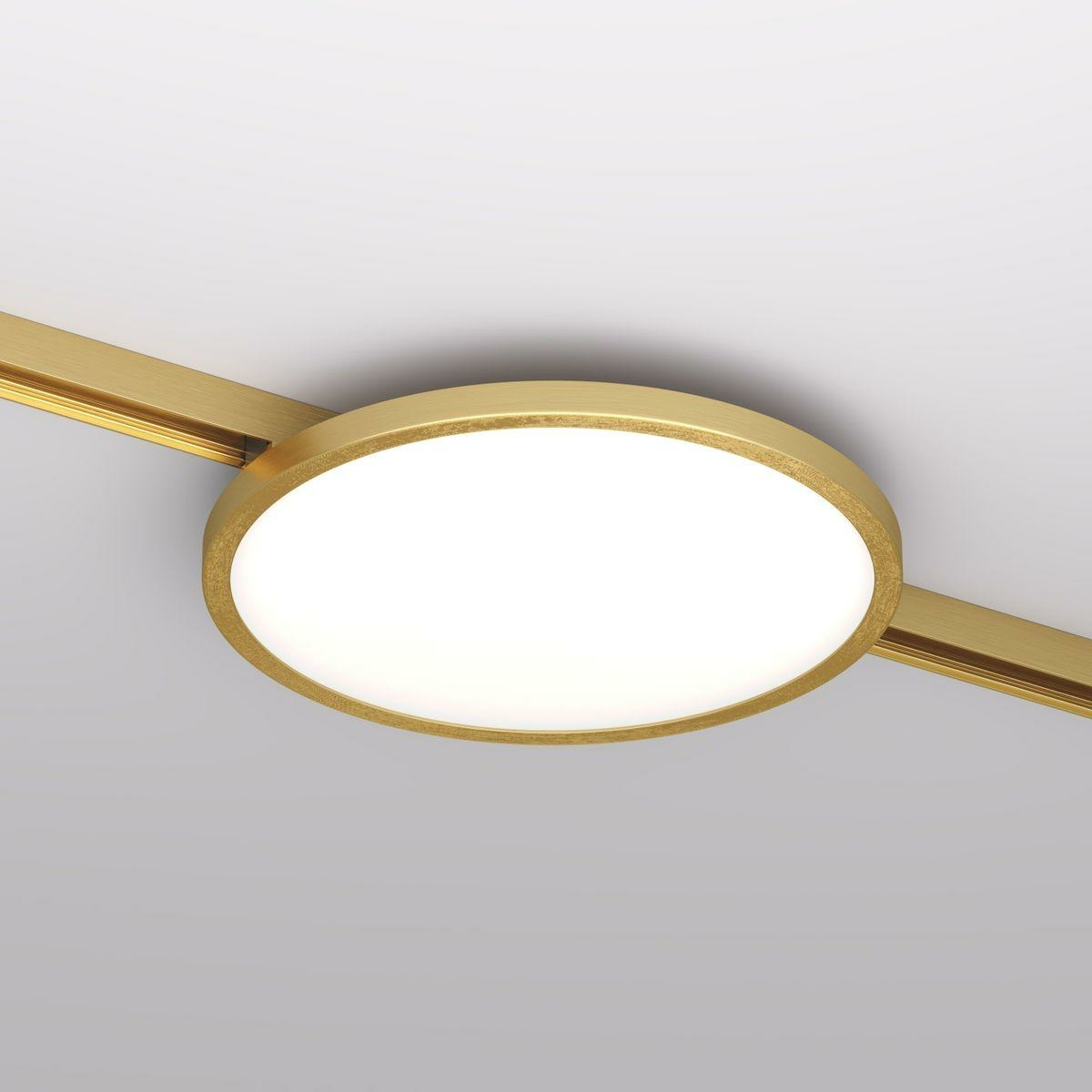 Изображение товара Трековый светодиодный светильник Denkirs Shine Flow DK5763-SB