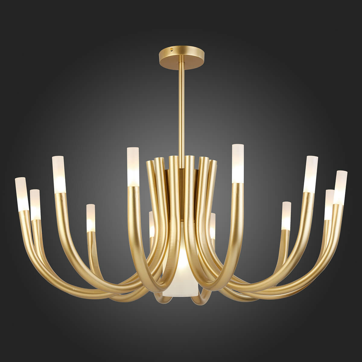 Изображение товара Потолочная люстра ST Luce Pafe SL1173.202.13