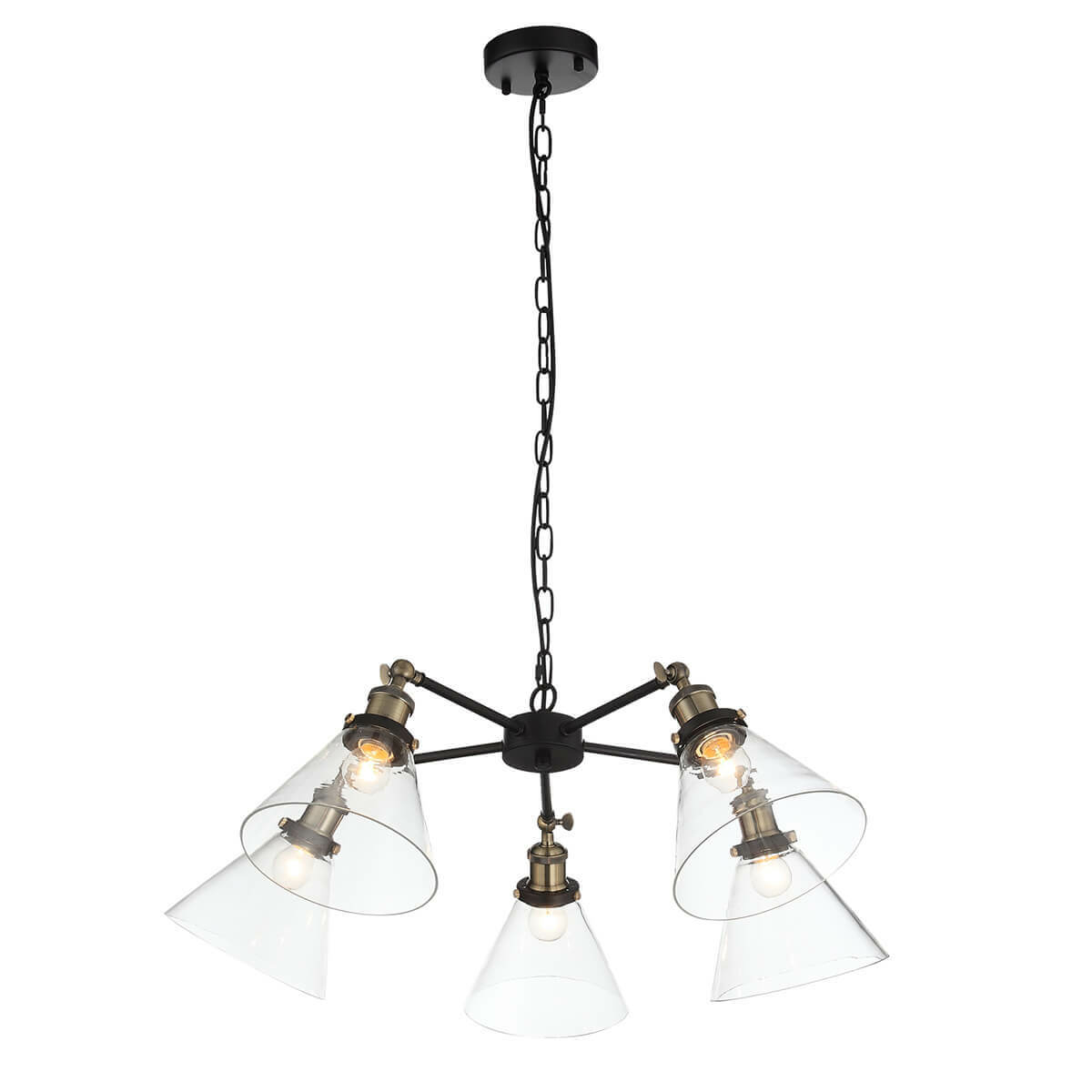 Изображение товара Подвесная люстра ST Luce Evoluto SL237.413.05