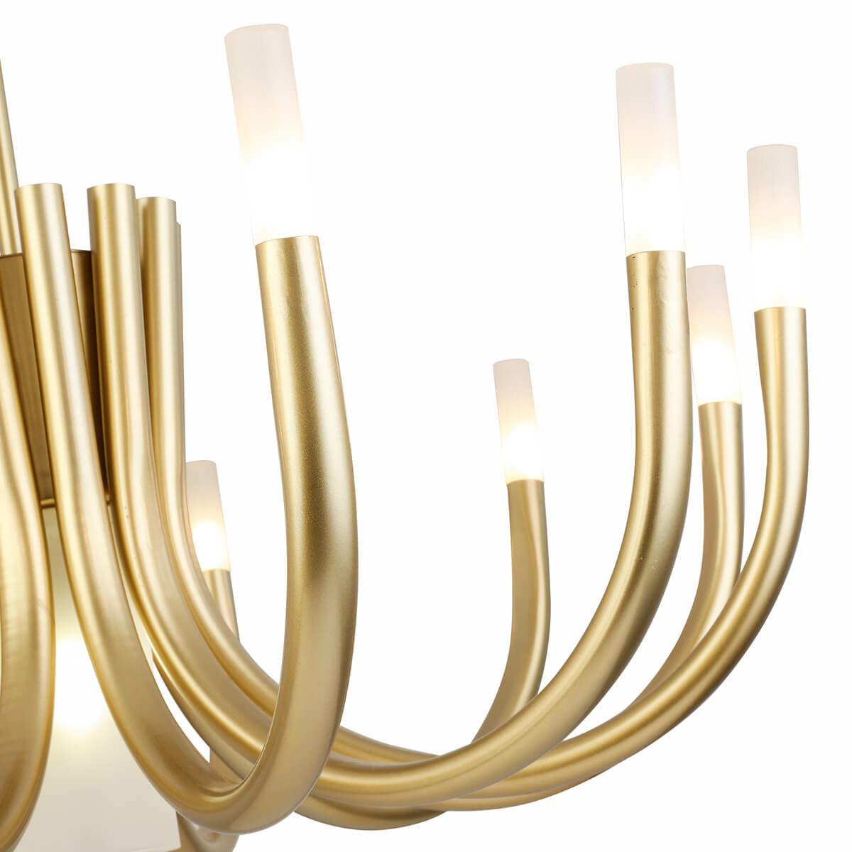 Изображение товара Потолочная люстра ST Luce Pafe SL1173.202.13