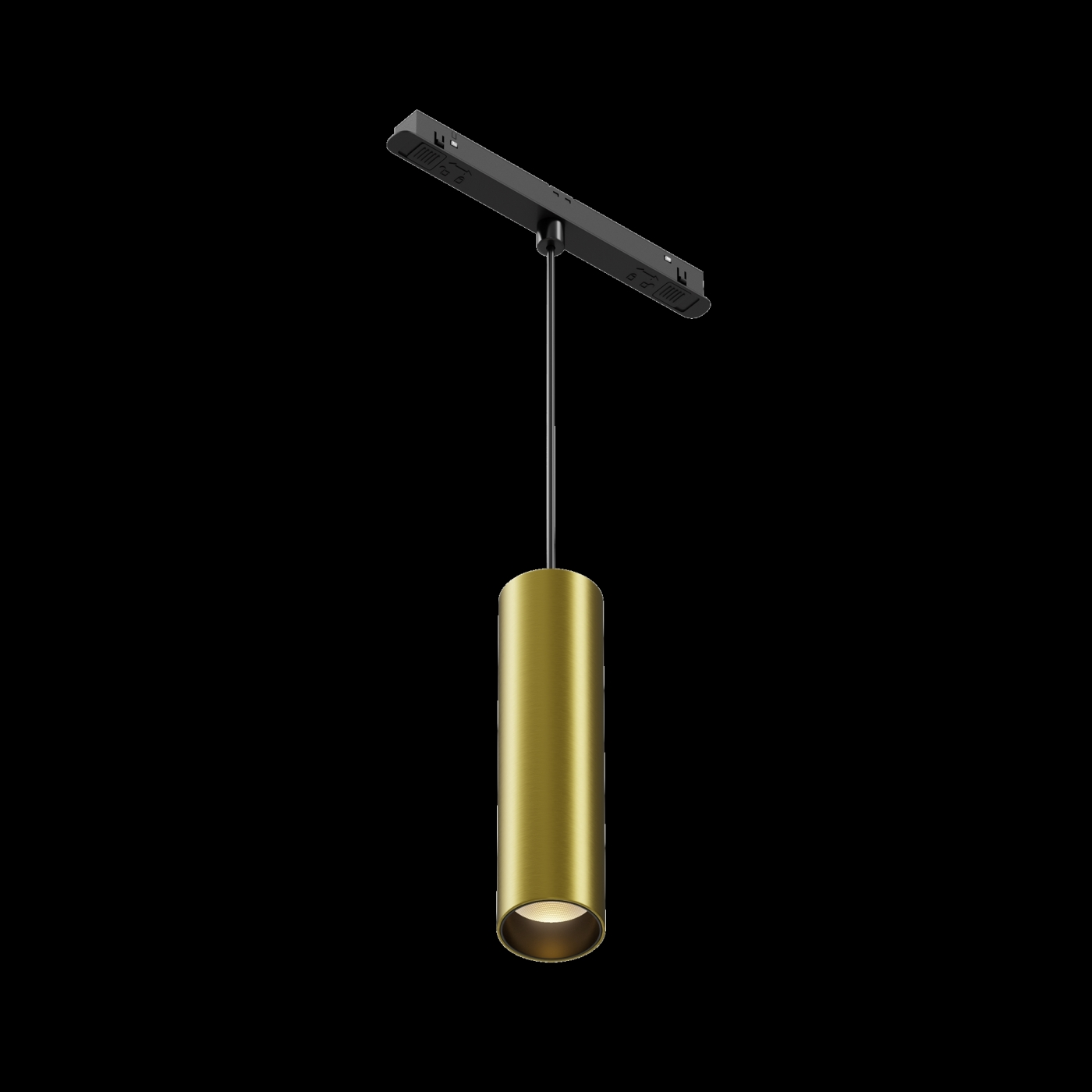 Изображение товара Трековый подвесной светильник Maytoni Exility Focus LED TR041-2-12W3K-BBS