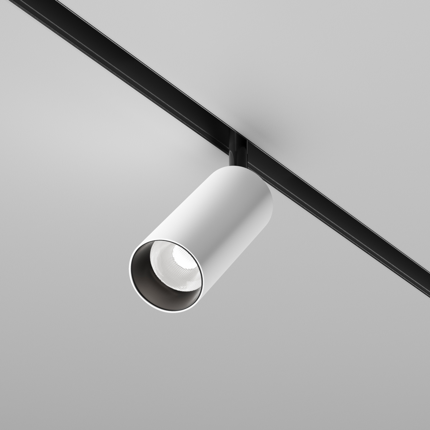 Изображение товара Трековый светильник Maytoni Exility Focus LED TR032-2-12W4K-M-BW