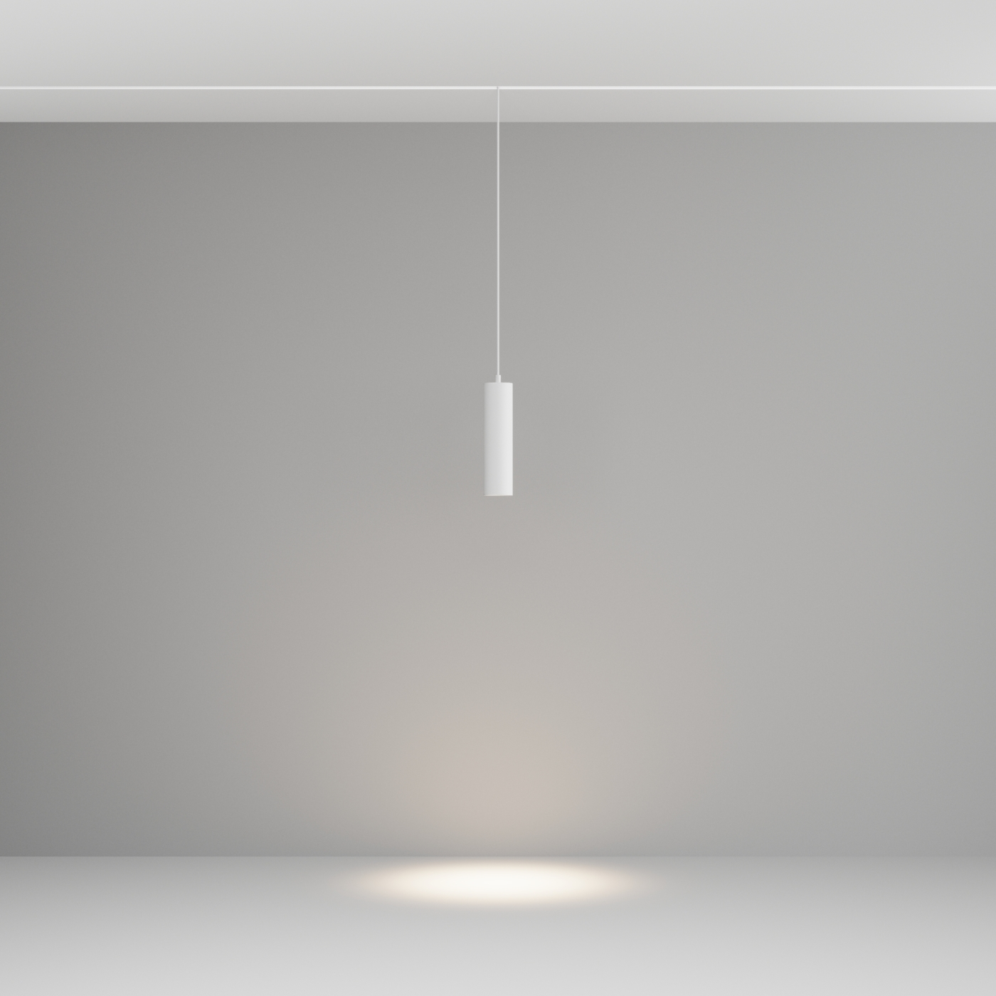 Изображение товара Трековый магнитный светодиодный светильник Maytoni Exility TR041-2-12W4K-W