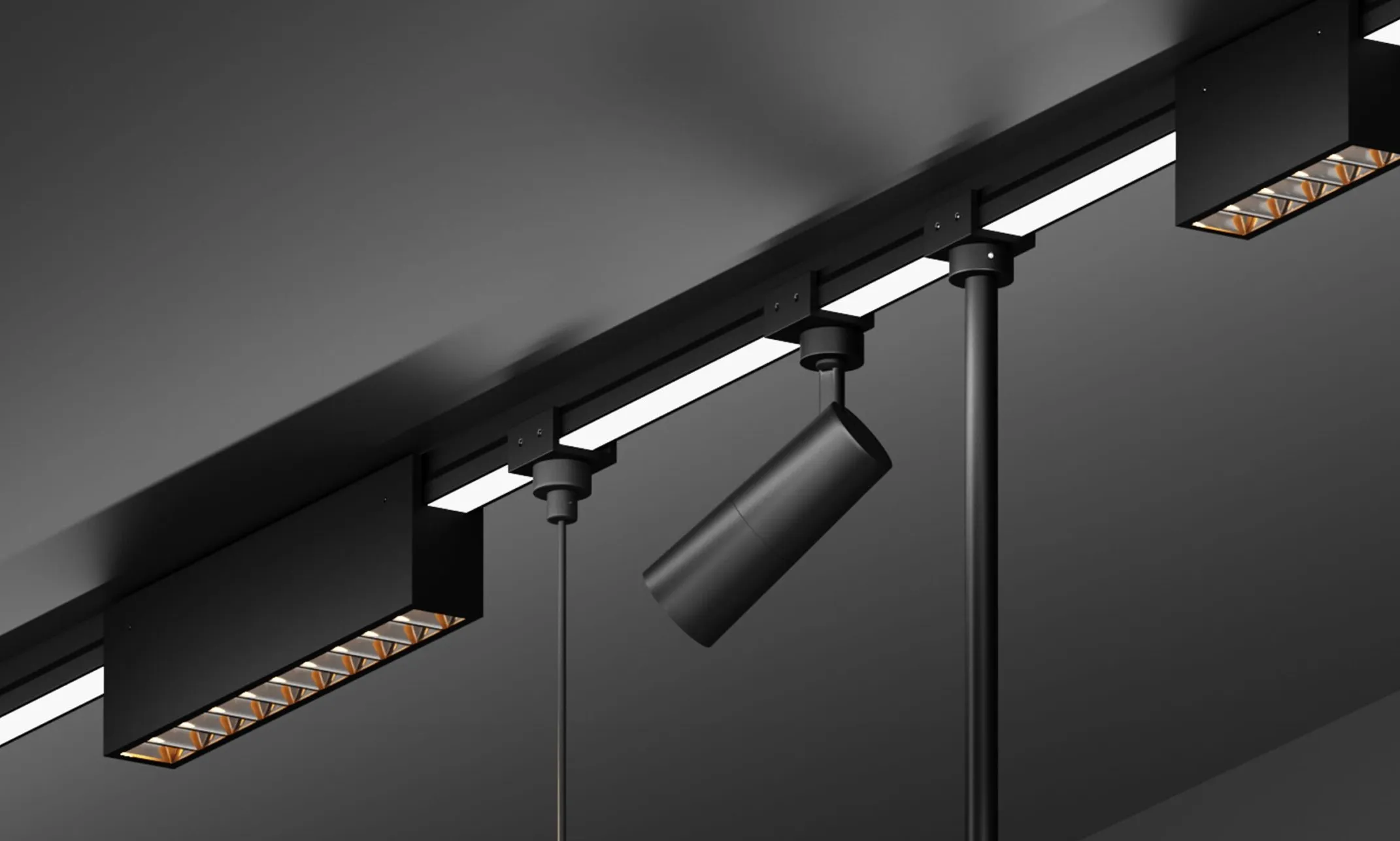 Изображение коллекции Elasity