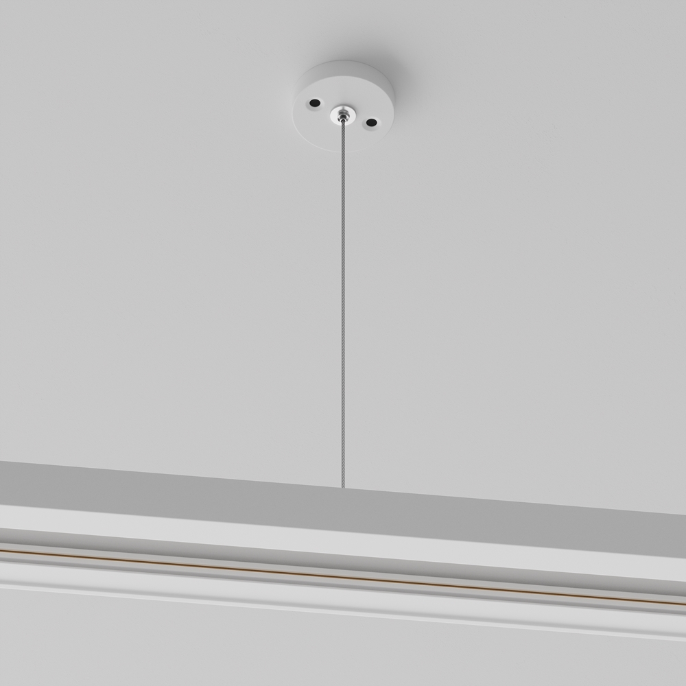 Изображение товара Подвес тросовый 1 шт. Unity белый TRA001CW-11W Unity Maytoni