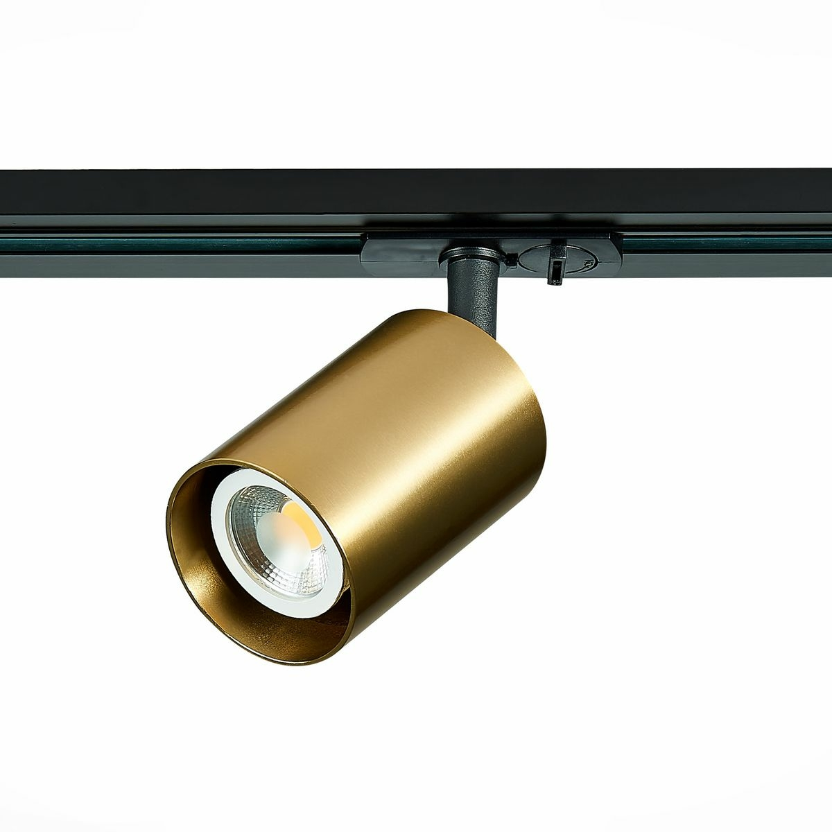 Изображение товара Светильник трековый, ЗолотоST302.206.01, Base, ST luce