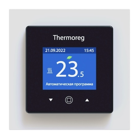 Изображение товара Терморегулятор Thermoreg TI-970