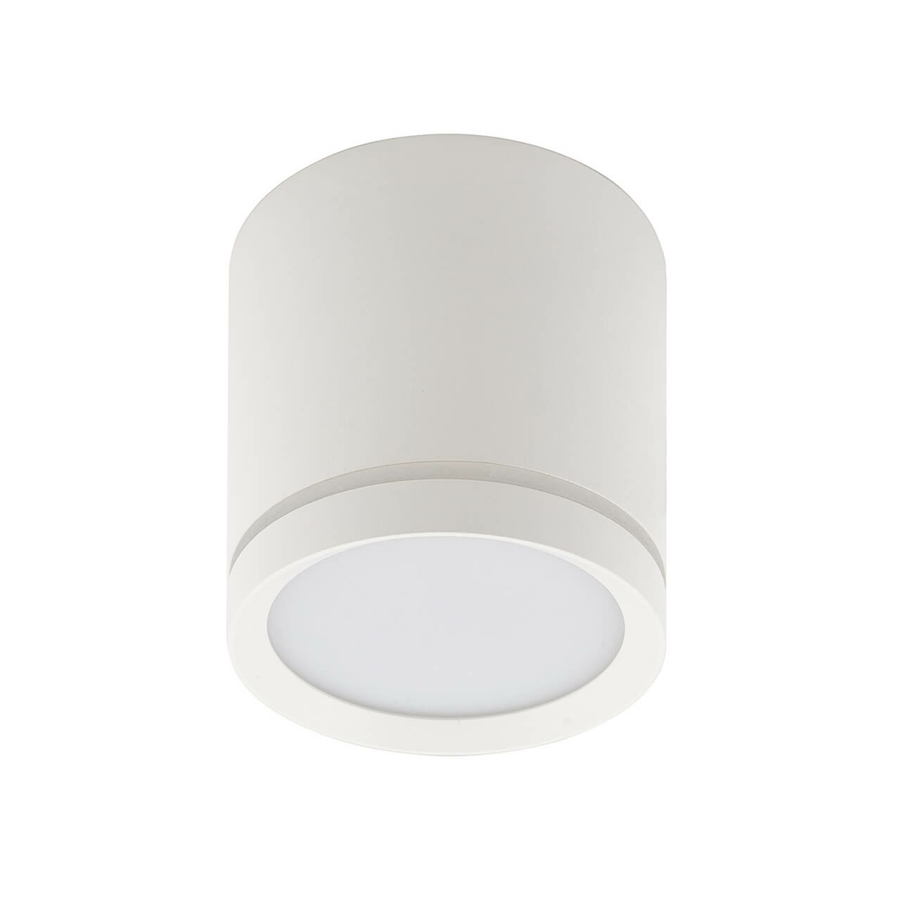 Изображение товара Накладной светодиодный светильник DK4013-WH, Denkirs
