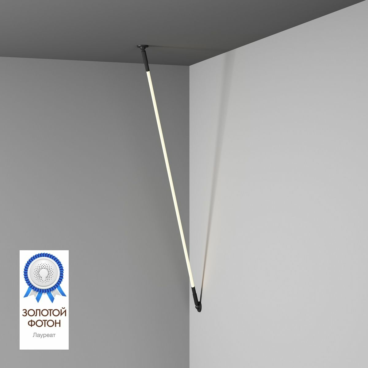 Изображение товара Настенно-потолочный светодиодный светильник Flex DK7503-BK, Denkirs