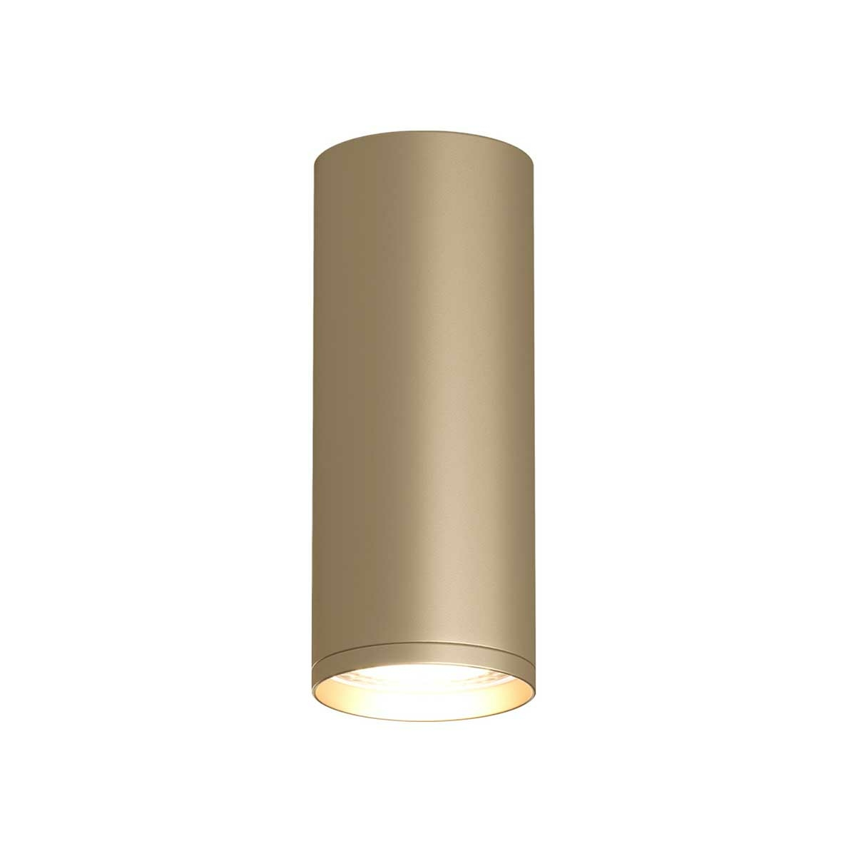 Изображение товара Накладной светильник TUBE DK2051-SG, Denkirs