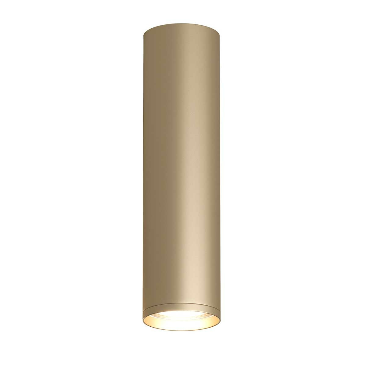 Изображение товара Накладной светильник TUBE DK2052-SG, Denkirs