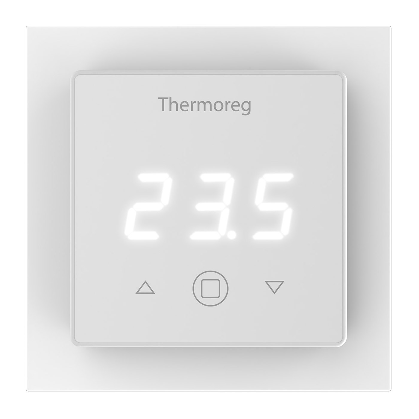 Изображение товара Терморегулятор Thermoreg TI-300