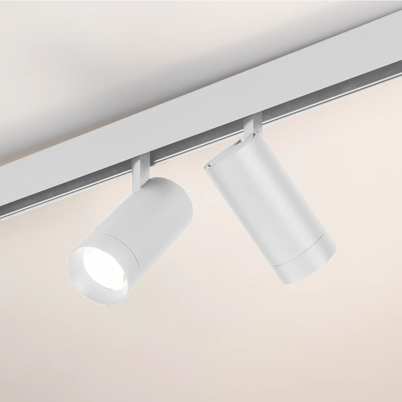 Изображение товара Светильник MAG-ORIENT-SPOT-R65-20W Day4000 (WH, 24 deg, 48V) (Arlight, IP20 Металл, 5 лет) 037122