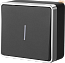 Выключатель одноклавишный с подсветкой черный/хром WL15-01-04
