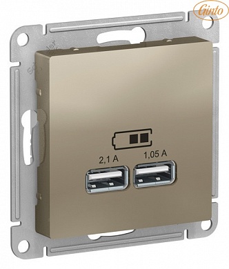 USB Розетка 5В, 1 порт x 2,1 А, 2 порта х 1,05 А, механизм, ШАМПАНЬ