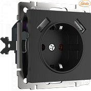 Розетка с заземлением, шторками и USBх2 (черный матовый). W1171508